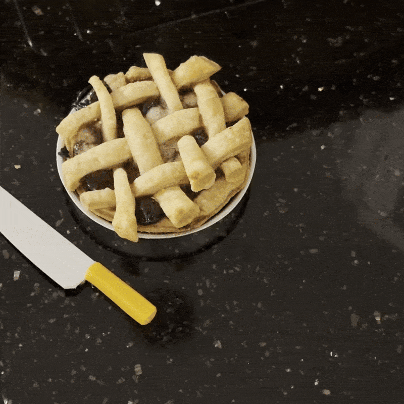 A pie for Thanksgving... and then a bigger surprise!